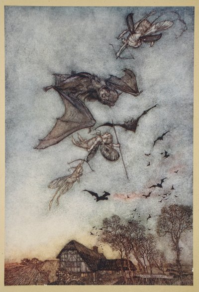 Some War with Rere-mice for Their Leathern Wings, Illustration from 